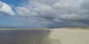 Texel